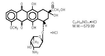 b05d7515-2179-4f4b-b37e-dccc77127f8f_adriamycin-doxorubicin-hcl-injection-novaplus-1.jpg