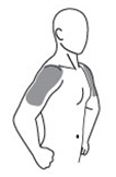 Andro shoulders side view medguide