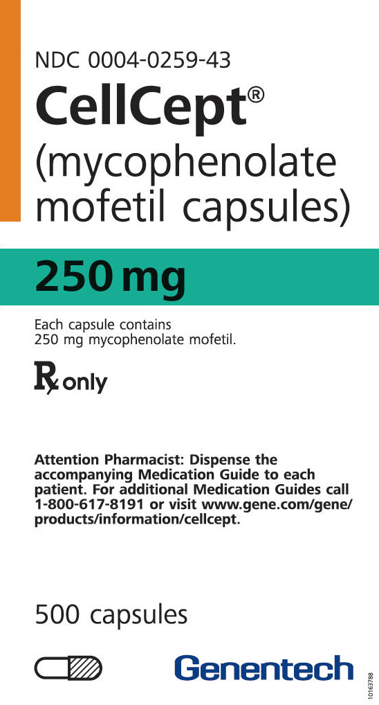 PRINCIPAL DISPLAY PANEL - 250 mg Capsule Bottle Carton